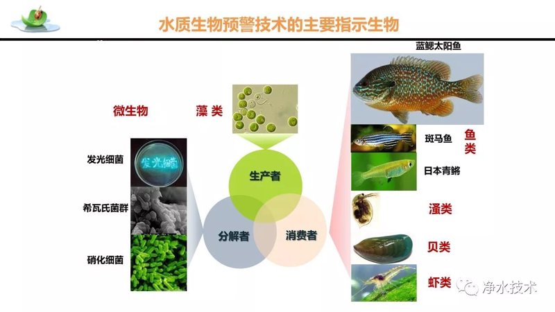 水质调控